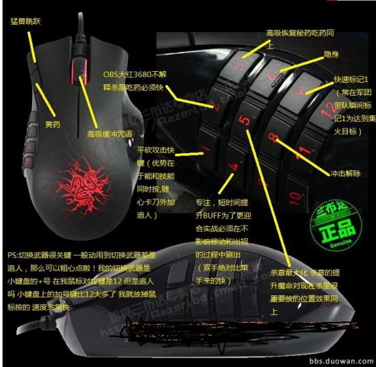 4.0《永恒之塔私服》版龙母治愈星PVP技巧分享 相信队友