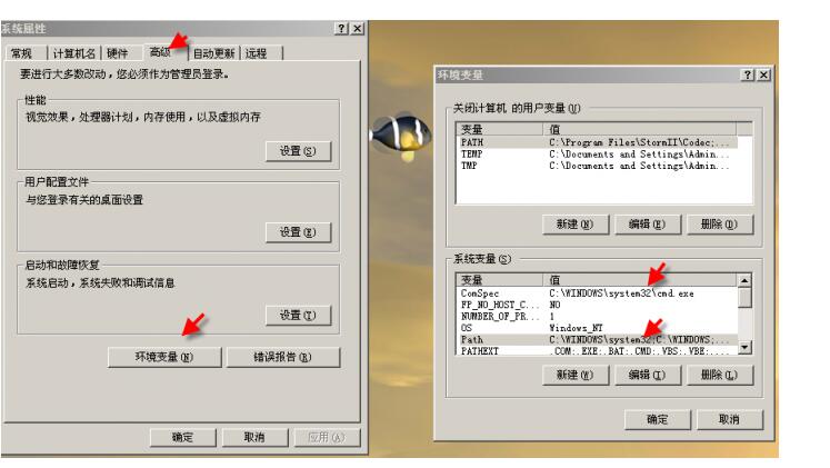 如否解决运行AionEmu  一闪就没了